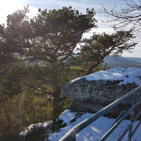 Waldliebe Апартаменты Hinterweidenthal