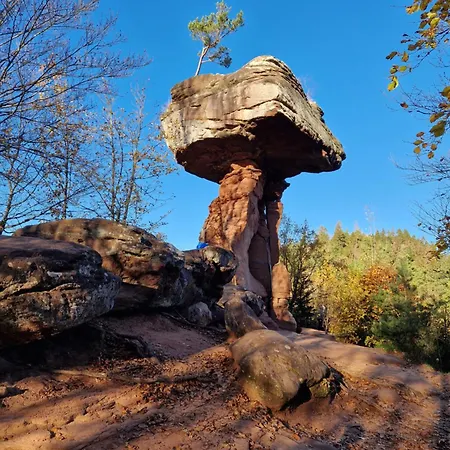 Lejlighed Waldliebe *