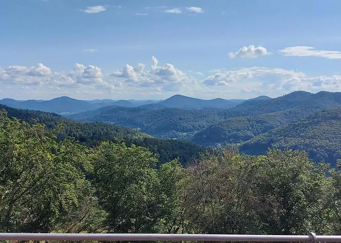 アパート Waldliebe Hinterweidenthal