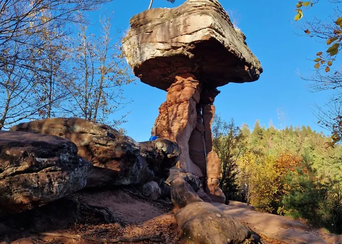 Apartament Waldliebe *